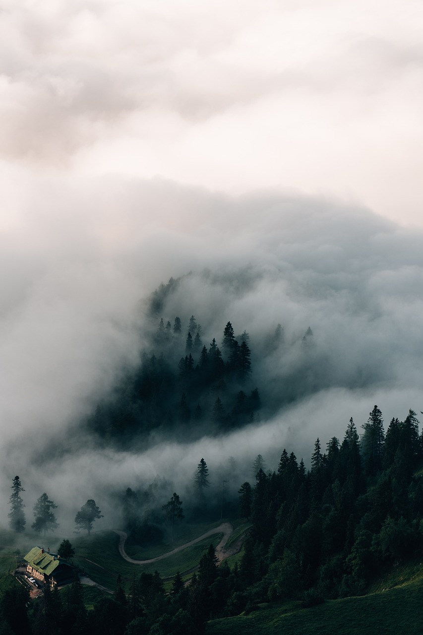 alps, mountains, fog, clouds, nature, trees, forest, landscape, sunrise, dawn, morning, mood, aesthetic wallpaper, iphone wallpaper, iphone wallpaper, phone wallpaper, iphone wallpaper, iphone wallpaper, iphone wallpaper, iphone wallpaper