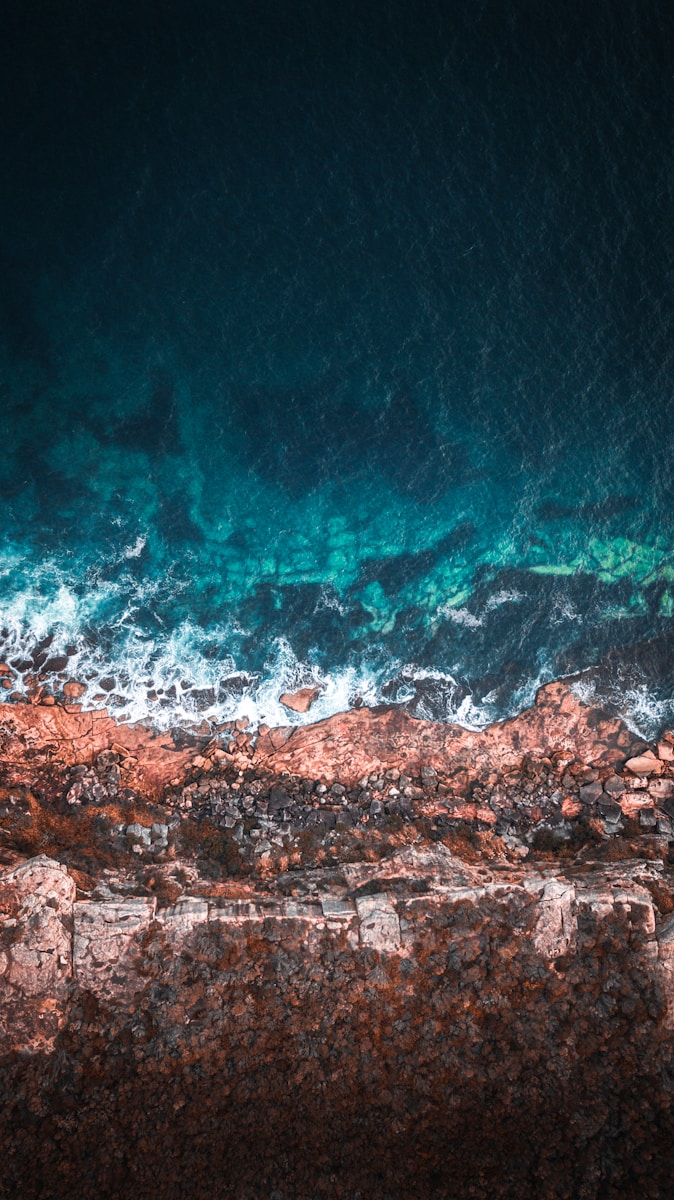 aerial photography of seashore