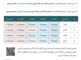 رياض الاطفال - نموذج دليل قبول أطفال المستوى الثالث في رياض الأطفال