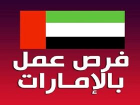 Job opportunities in the UAE 2023 daily updated UAE - وظائف الامارات 2023 تقديم طلب توظيف فِي وزارة التربية والتعليم اليوم خطوة بخطوة