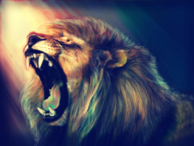 Lion Wallpapers37 - صور اسد فخمة 4k خلفيات الاسد يكشر عن أنيابه