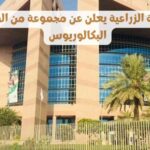 التنمية الزراعية يعلن مجموعة مِنْ فرصة العمل اَلرَّسْمِيُّ للعمل - وظائف صندوق التنمية الزراعية السعودية الحكومي يعلن عن فرص عمل فِي الرياض